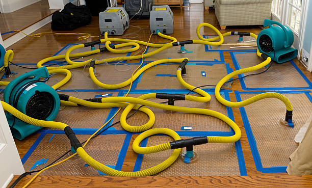 Professional Water Extraction technician working in Edgewood, PA